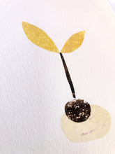 Load image into Gallery viewer, Seedling #17 - Framed 6"x9" Hand Painted Paper Collage