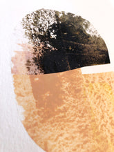 Load image into Gallery viewer, Seedling #14 - Framed 6"x9" Hand Painted Paper Collage