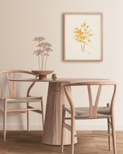 Load image into Gallery viewer, Mimosa