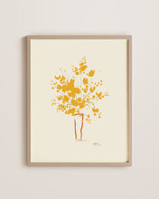 Load image into Gallery viewer, Mimosa